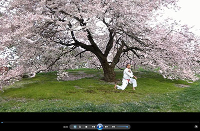 Kata Wanshu performed April 20, 2013 by Kyoshi Michael Mackay at the New York Botanical Gardens.